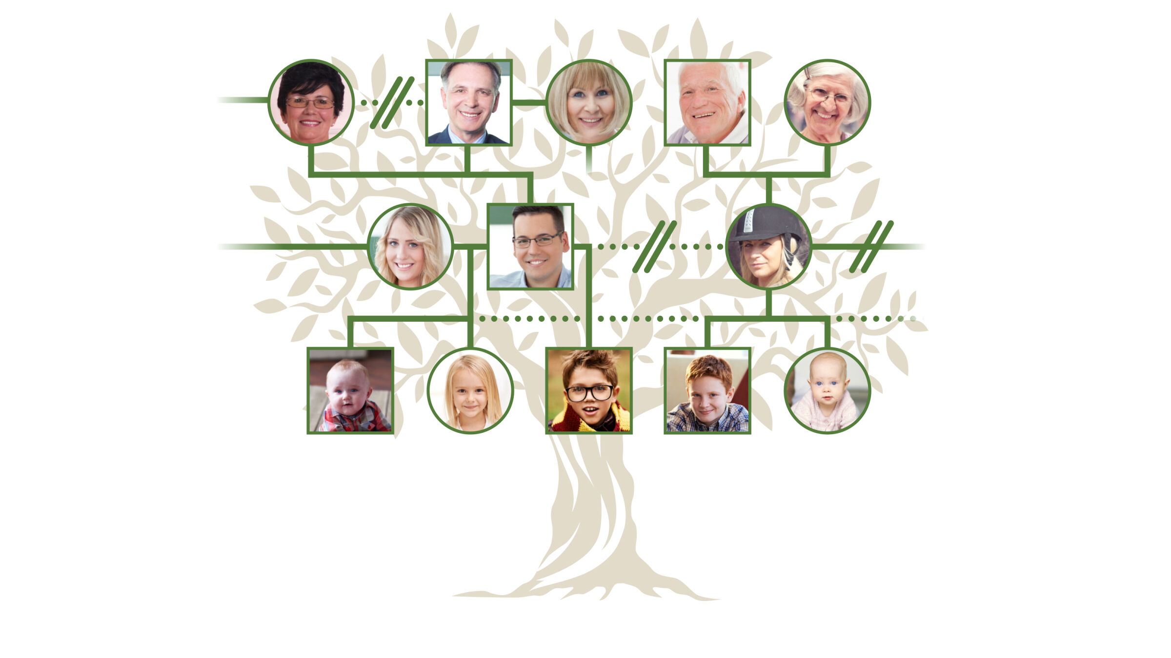 The Tangled Stepfamily Tree TheTrumpet the-tangled-stepfamily-tree-thetrumpet